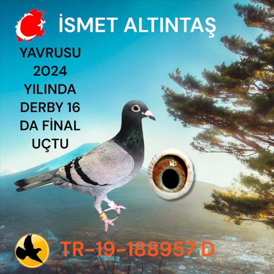 İSMET ALTINTAŞ 