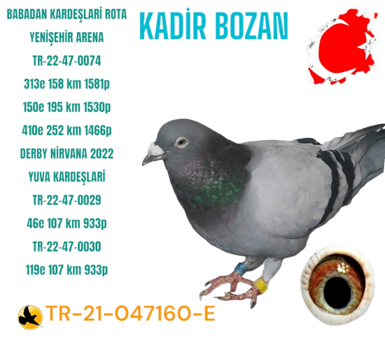 KADİR BOZAN