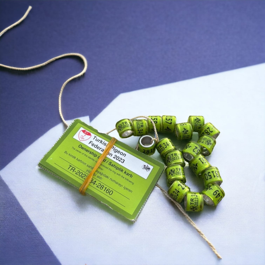 2023 , 2024 ,2025  GÜVERCİN KÜNYELERİ