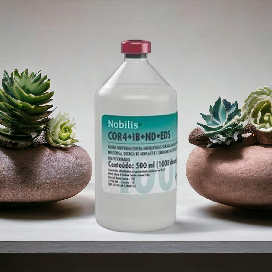 (NOBİLİS)  AŞI YAPIN KUŞLARINIZ ÖLMESİN