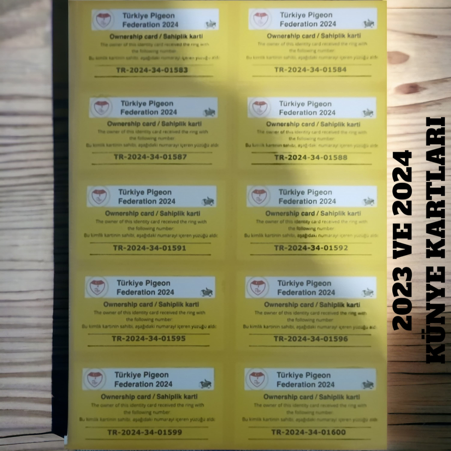 2023 , 2024 ,2025  GÜVERCİN KÜNYELERİ