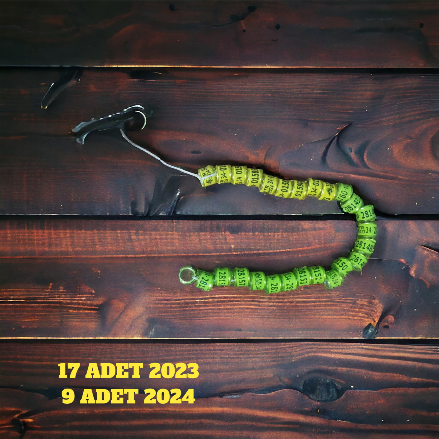 2023 , 2024 ,2025  GÜVERCİN KÜNYELERİ